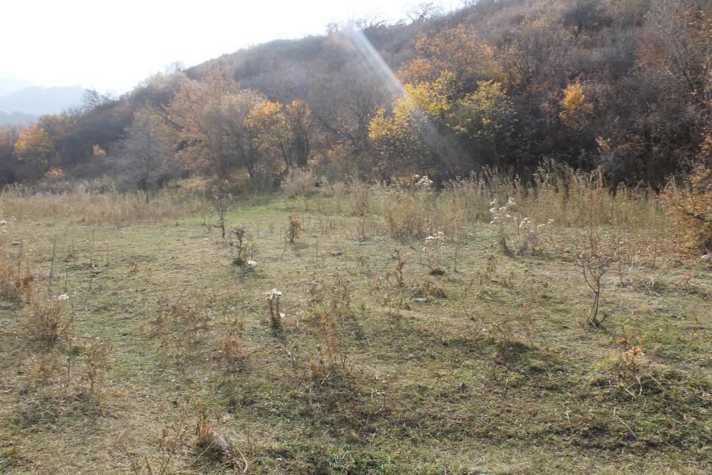 Земельный участок 2,5 га