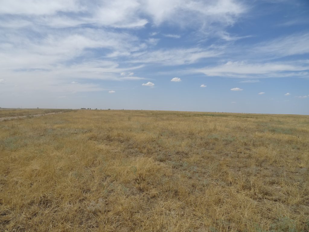 Земельный участок площадью 200 га