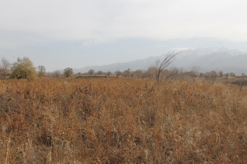 Земельный участок 2,73 га